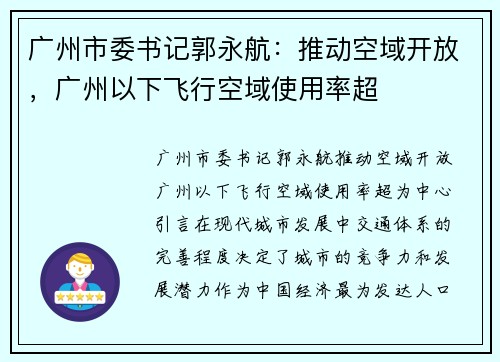 广州市委书记郭永航：推动空域开放，广州以下飞行空域使用率超