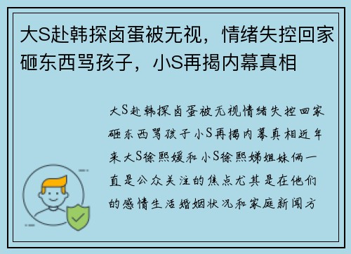 大S赴韩探卤蛋被无视，情绪失控回家砸东西骂孩子，小S再揭内幕真相