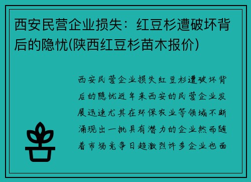 西安民营企业损失：红豆杉遭破坏背后的隐忧(陕西红豆杉苗木报价)